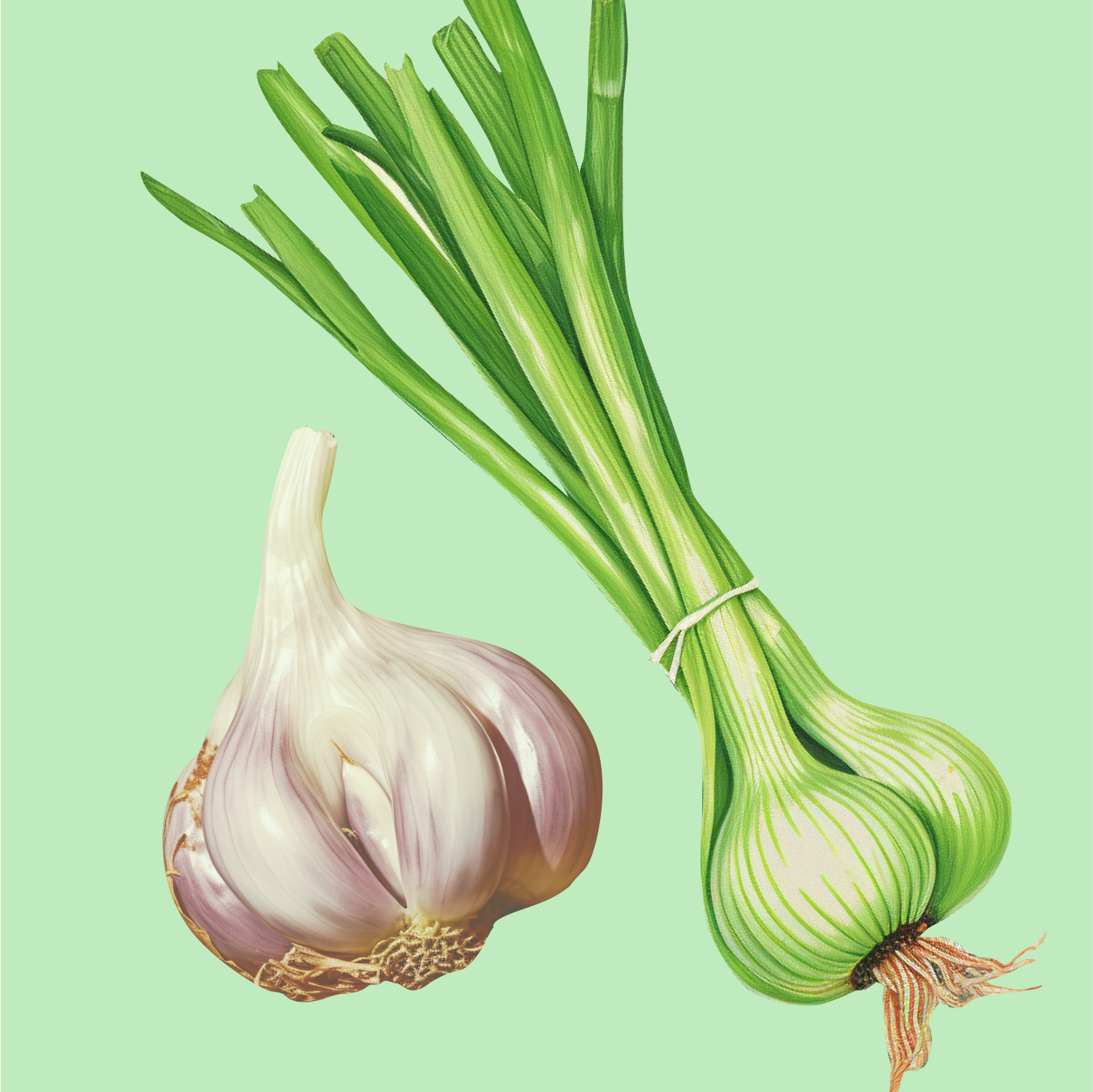 Green Onion/Garlic Salt