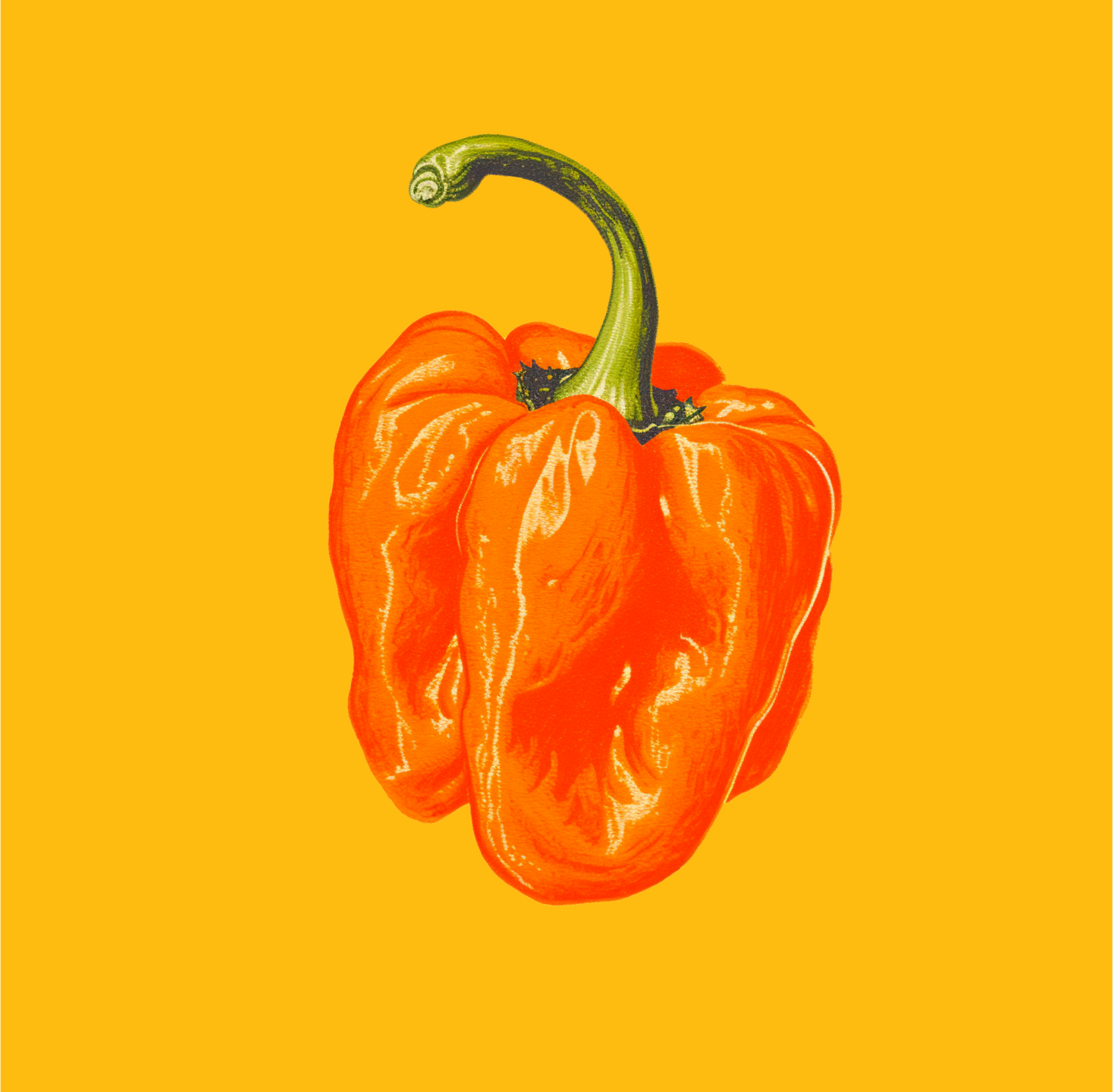 Shotgun Habanero Salt